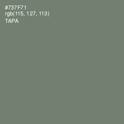 #737F71 - Tapa Color Image