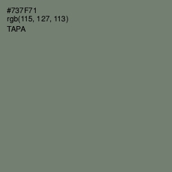 #737F71 - Tapa Color Image