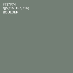 #737F74 - Boulder Color Image