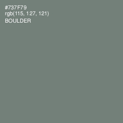 #737F79 - Boulder Color Image