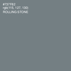 #737F82 - Rolling Stone Color Image