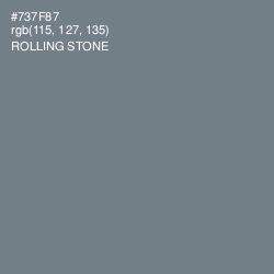 #737F87 - Rolling Stone Color Image