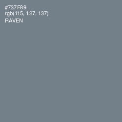 #737F89 - Raven Color Image