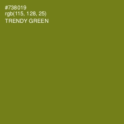 #738019 - Trendy Green Color Image