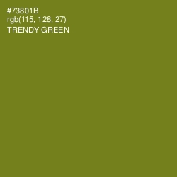 #73801B - Trendy Green Color Image