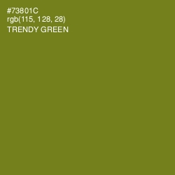 #73801C - Trendy Green Color Image
