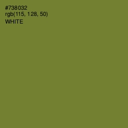 #738032 - Wasabi Color Image