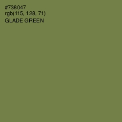 #738047 - Glade Green Color Image