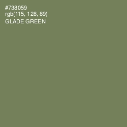 #738059 - Glade Green Color Image