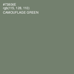 #73806E - Camouflage Green Color Image