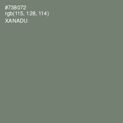 #738072 - Xanadu Color Image