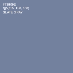 #73809E - Slate Gray Color Image