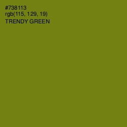 #738113 - Trendy Green Color Image