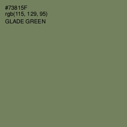 #73815F - Glade Green Color Image