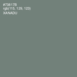 #73817B - Xanadu Color Image