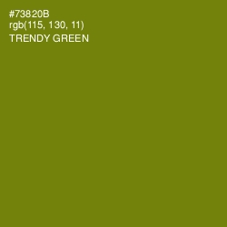 #73820B - Trendy Green Color Image