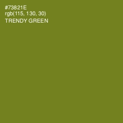 #73821E - Trendy Green Color Image