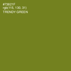 #73821F - Trendy Green Color Image