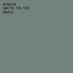 #73827B - Xanadu Color Image