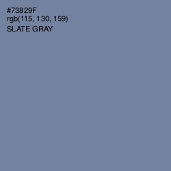 #73829F - Slate Gray Color Image
