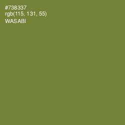 #738337 - Wasabi Color Image