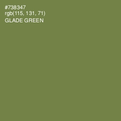 #738347 - Glade Green Color Image