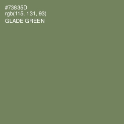 #73835D - Glade Green Color Image
