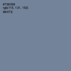 #738399 - Slate Gray Color Image