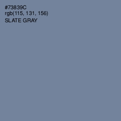 #73839C - Slate Gray Color Image