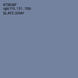 #73839F - Slate Gray Color Image