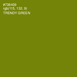 #738409 - Trendy Green Color Image
