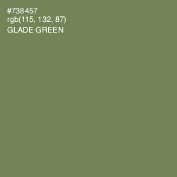 #738457 - Glade Green Color Image