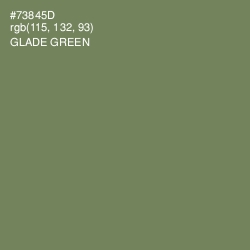 #73845D - Glade Green Color Image