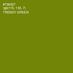 #738507 - Trendy Green Color Image