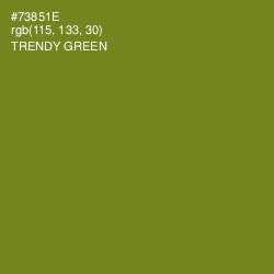 #73851E - Trendy Green Color Image