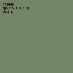 #738564 - Flax Smoke Color Image