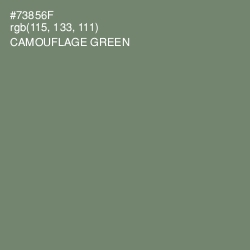 #73856F - Camouflage Green Color Image