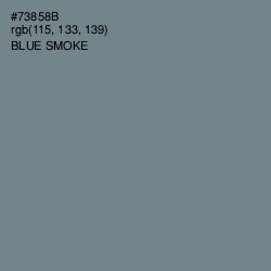 #73858B - Blue Smoke Color Image