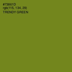 #73861D - Trendy Green Color Image