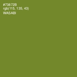 #73872B - Wasabi Color Image