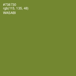 #738730 - Wasabi Color Image