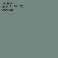 #73887E - Xanadu Color Image
