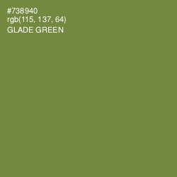 #738940 - Glade Green Color Image