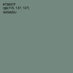 #73897F - Xanadu Color Image