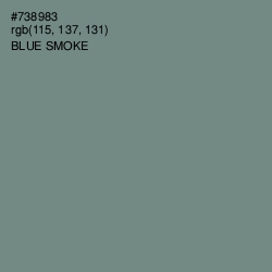 #738983 - Blue Smoke Color Image