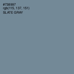 #738997 - Slate Gray Color Image