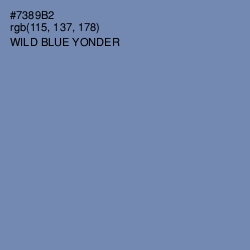 #7389B2 - Wild Blue Yonder Color Image