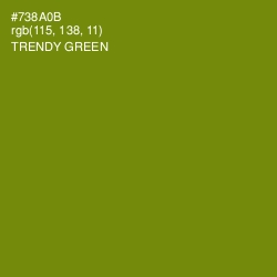 #738A0B - Trendy Green Color Image