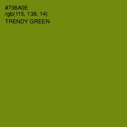 #738A0E - Trendy Green Color Image