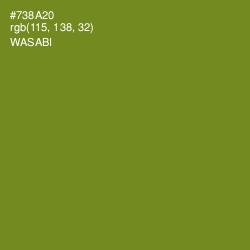 #738A20 - Wasabi Color Image